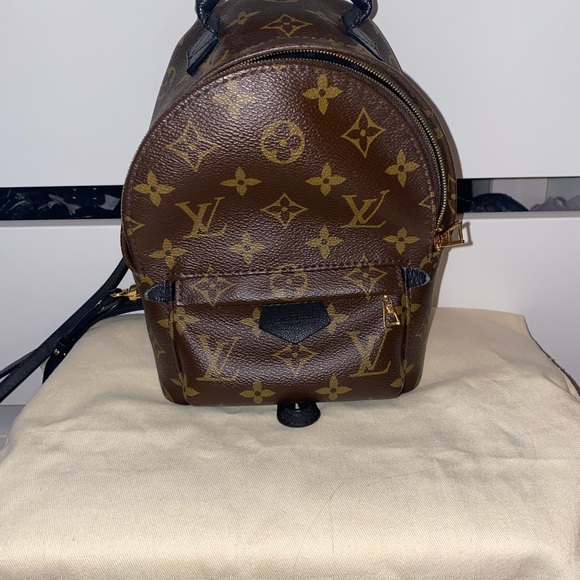 Louis Vuitton Palm Springs Mini - Picture 5 of 13